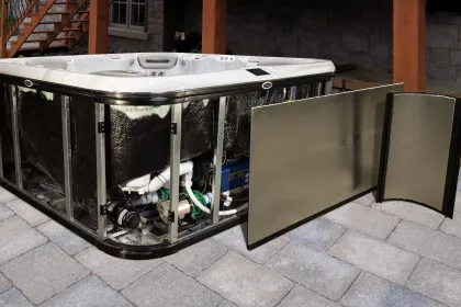 Bigger view of SIGNATURE SELF-CLEANING 455 PLATINUM